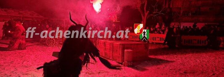 Einsatz Nr. 105 BRANDSICHERHEITSWACHE KRAMPUSLAUF