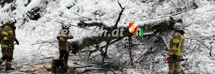 Einsatz Nr. 03 THL Baum auf der Straße